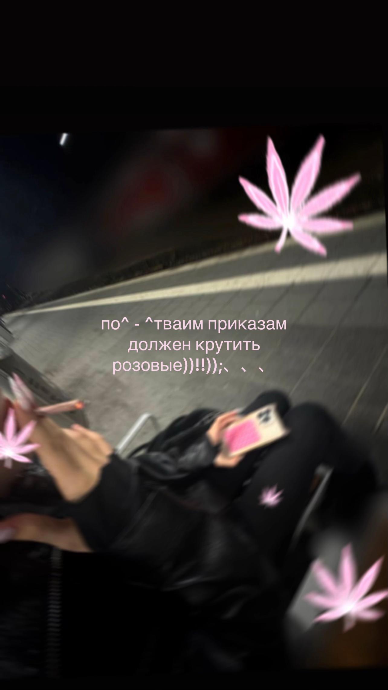 @˗ˏˋ♪𝄞 ≽^• ˕ •^≼𝄞♪♫ˎˊ˗