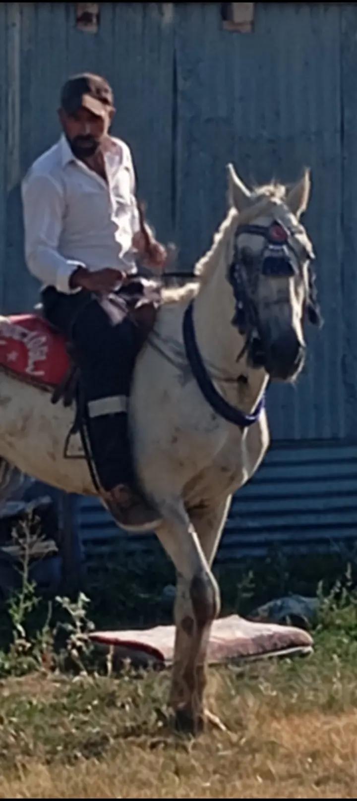 @&ccedil;atlı şaho