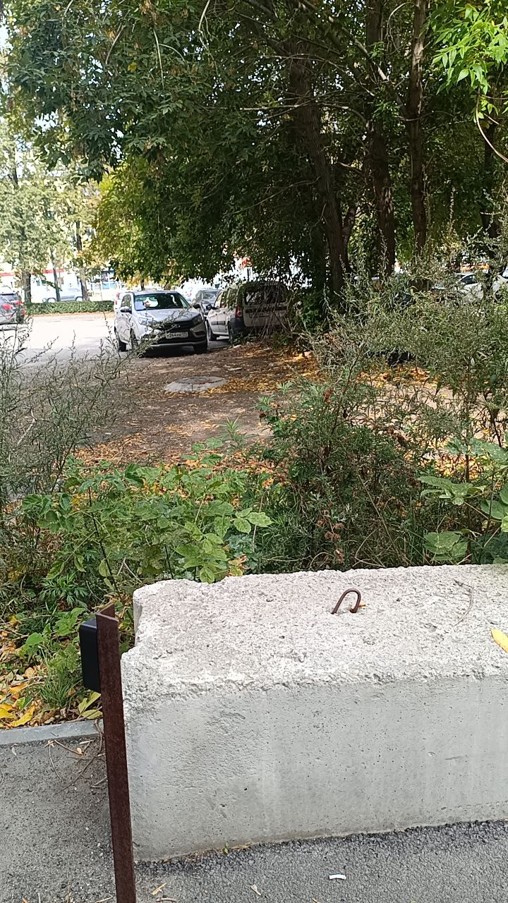 @Подвал МУРЗИКА