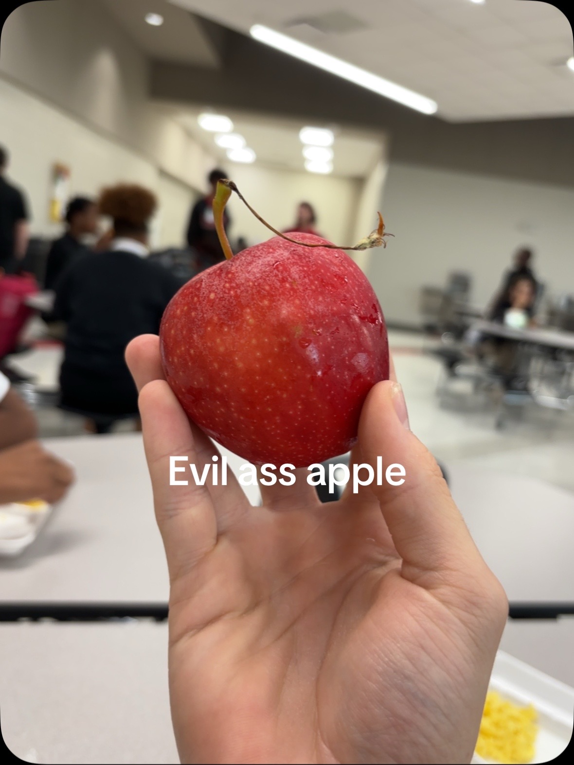 @Kaydin Rodriguez