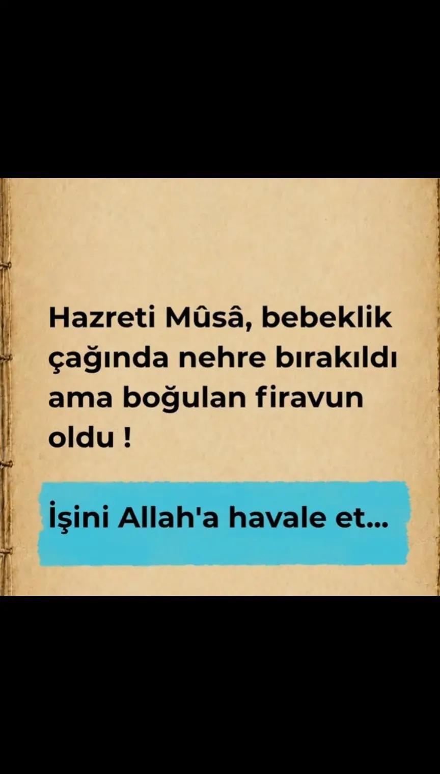 @EL_VEKİL☝🏻