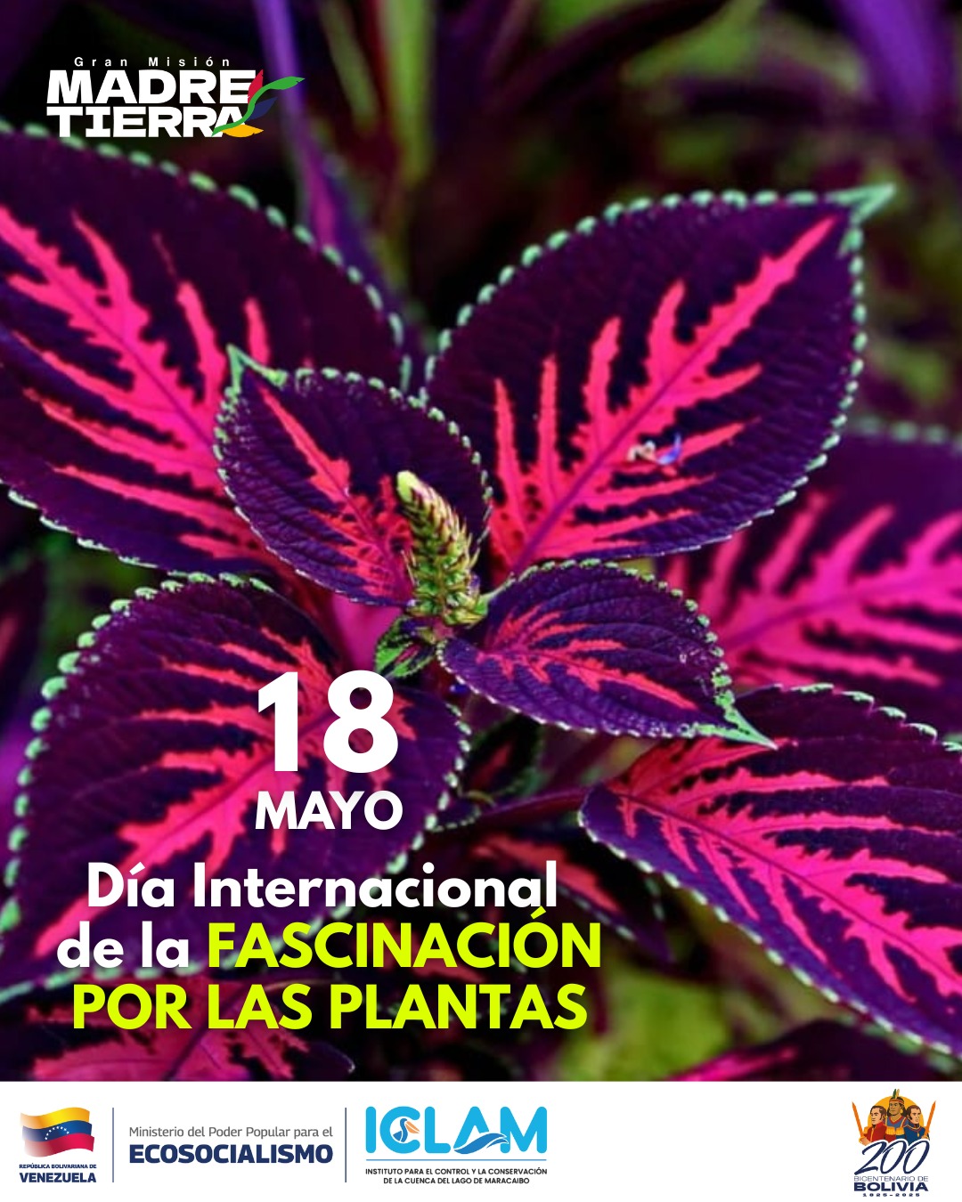 @iclam_ve