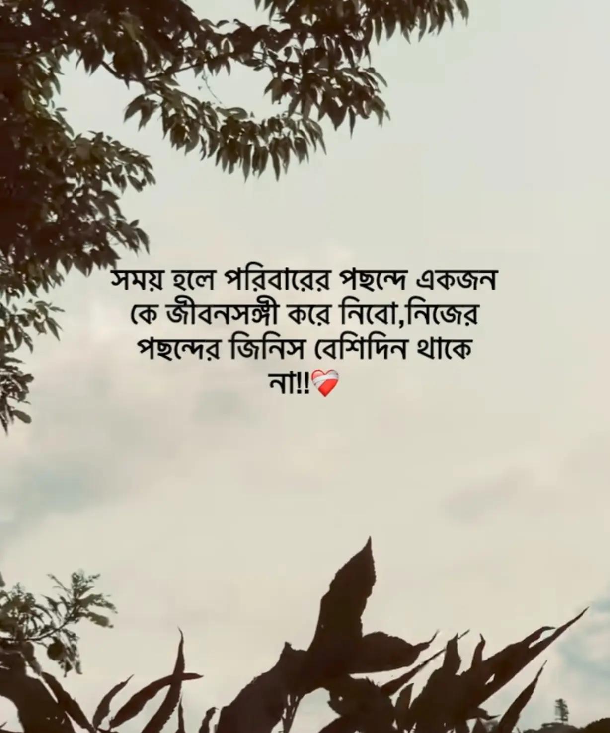 @Ahmed hasan.🕊️✨