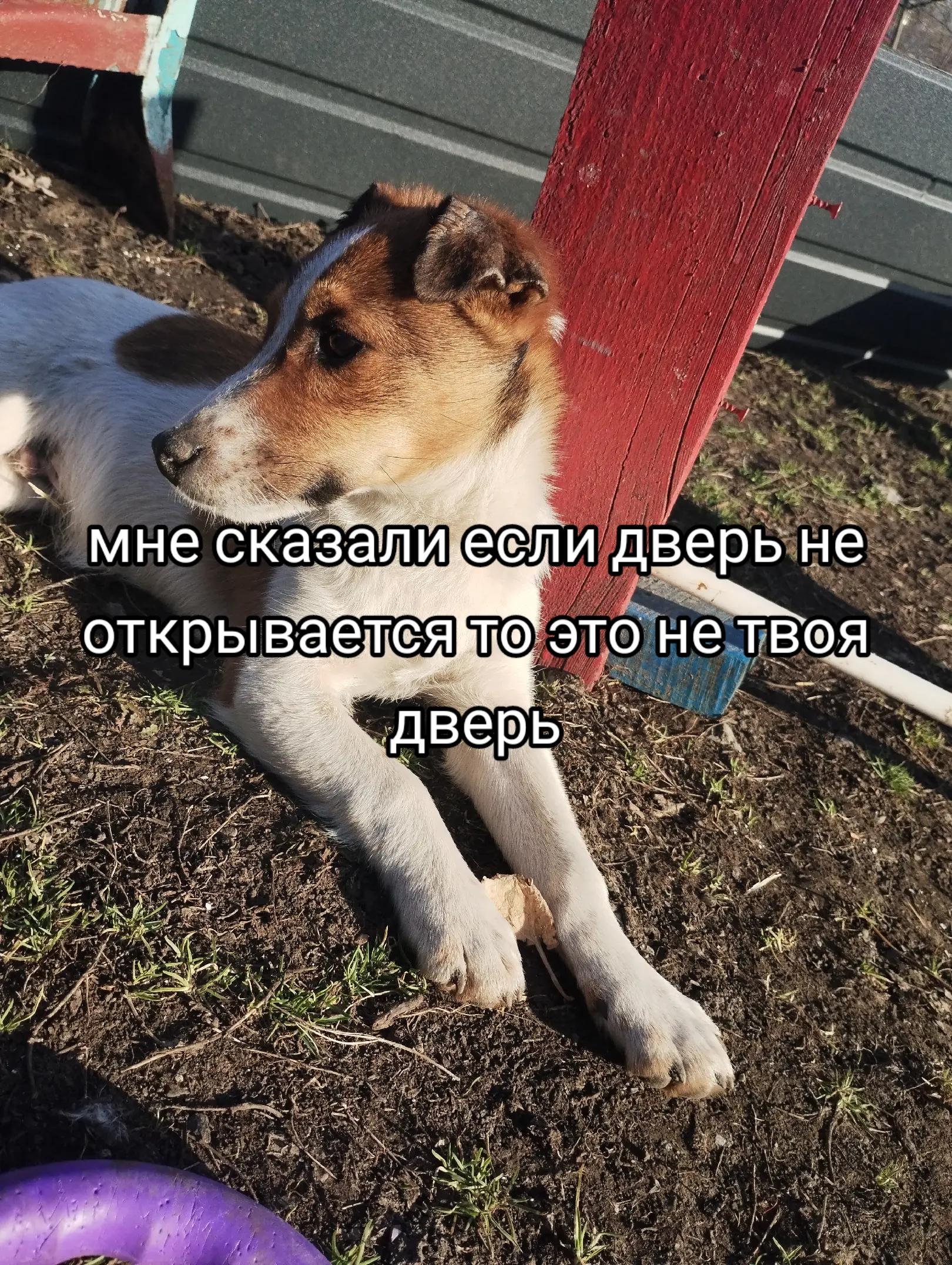 @𝘑𝘦𝘳𝘳𝘺🥏𝘢𝘪𝘳