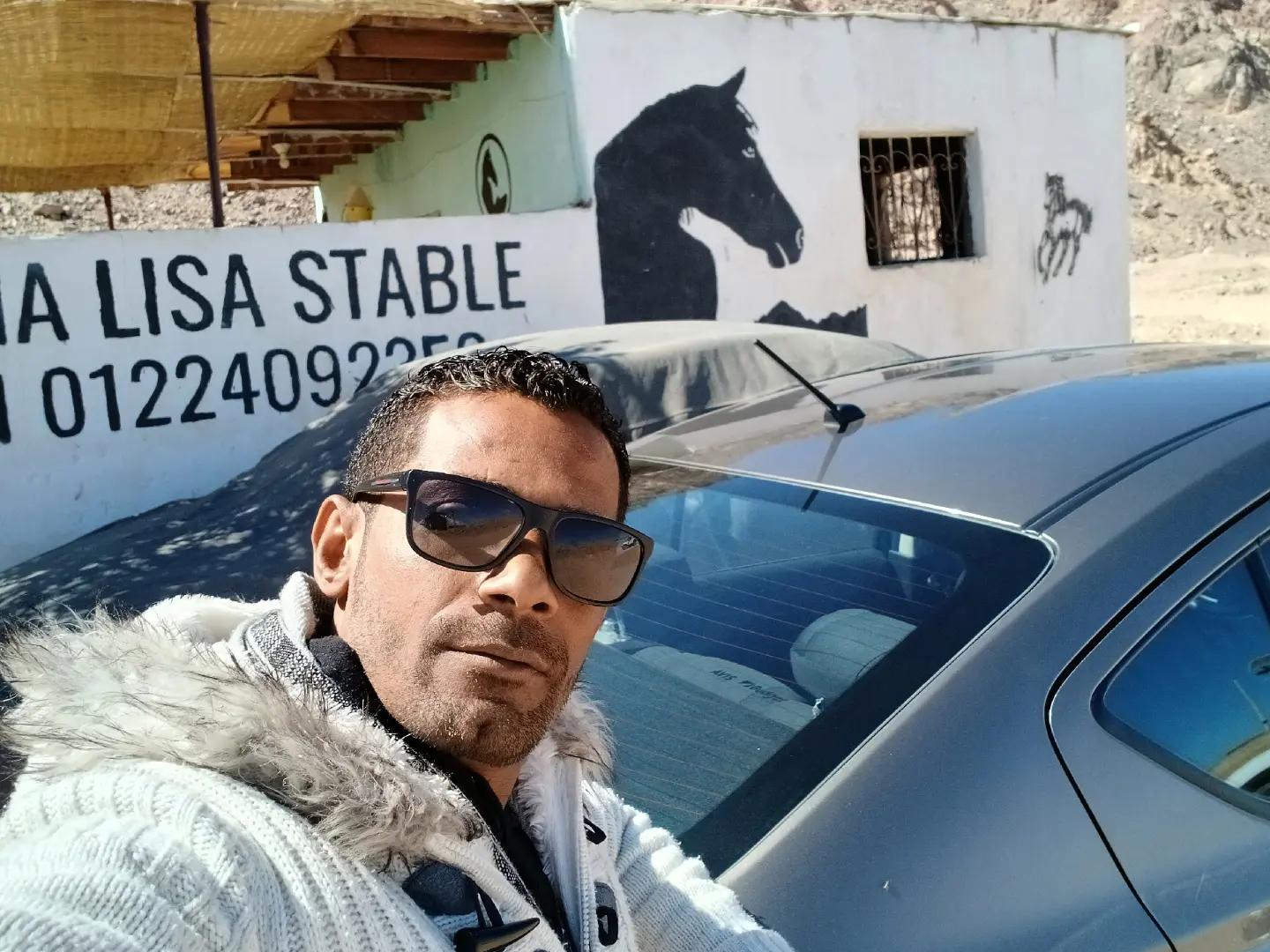 @monalisa_stable