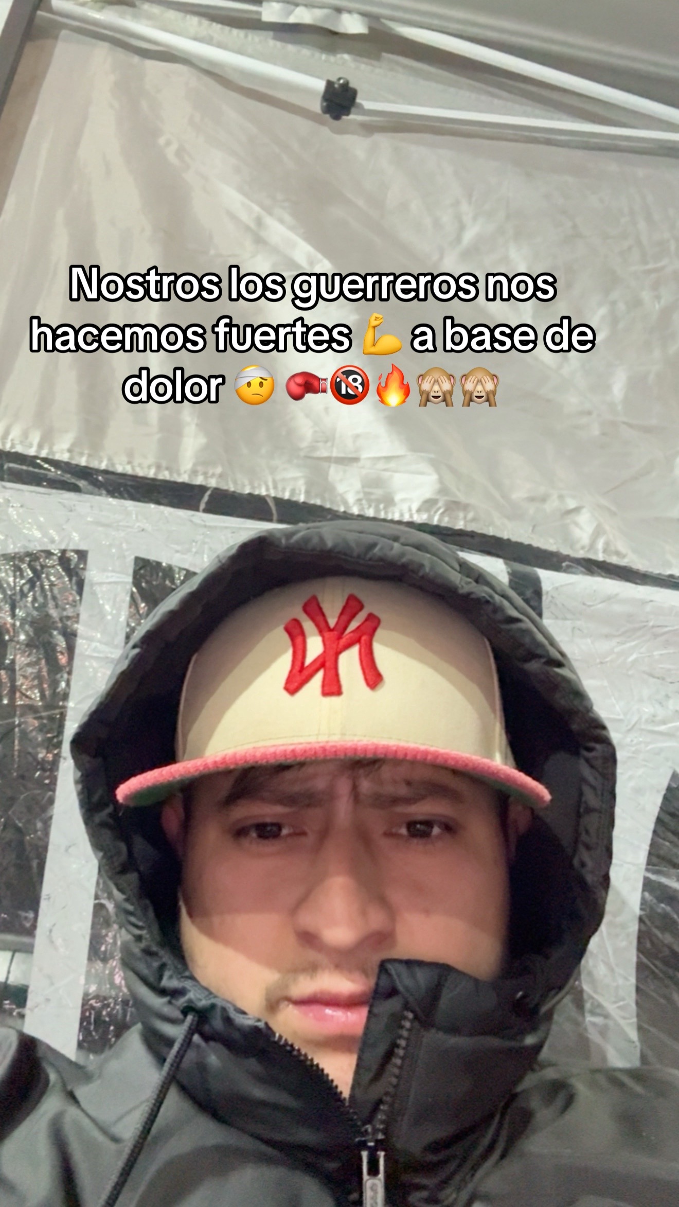 @Wilfer 🐺 de 🦁