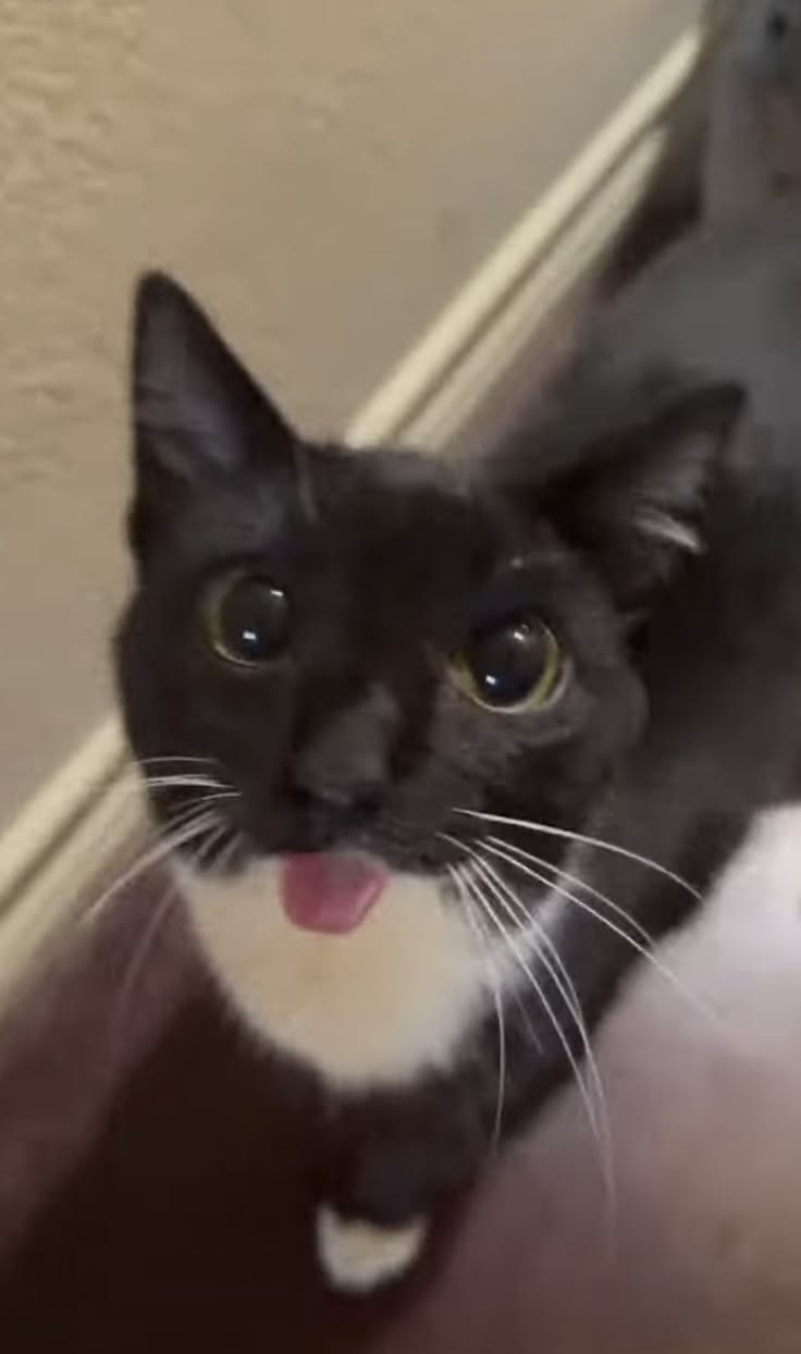 @.