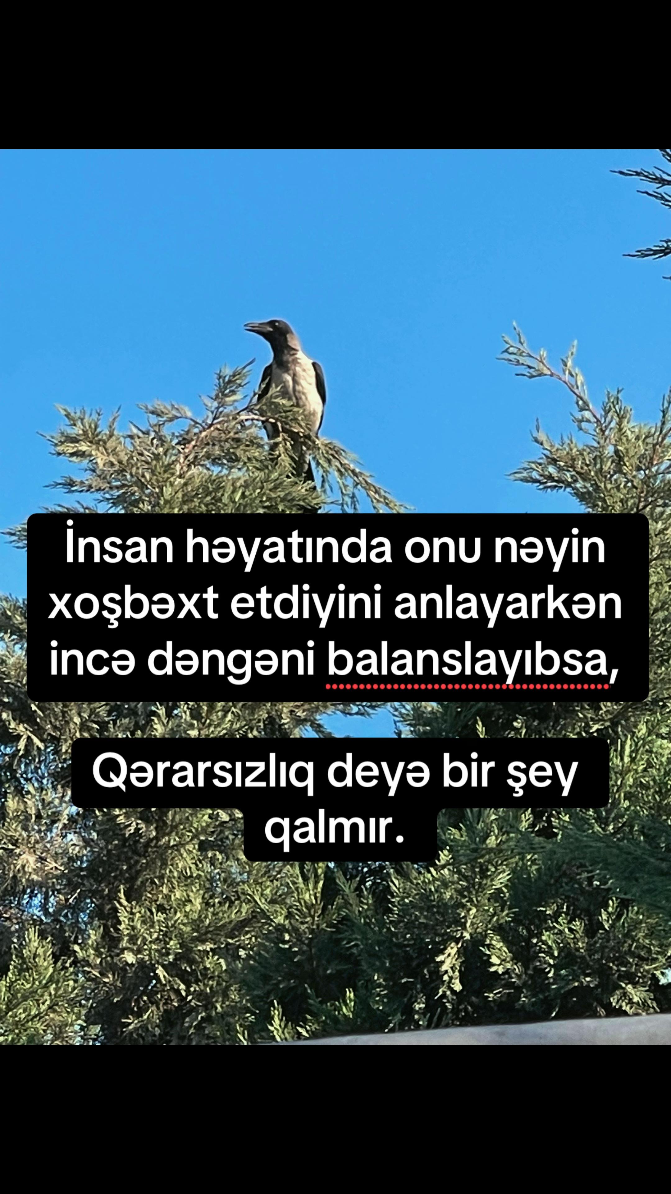 @Senan Hypnocoach