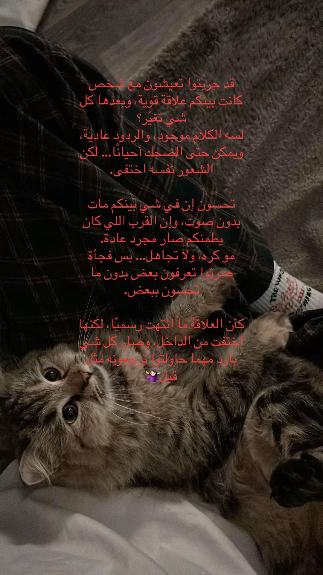 @🪿