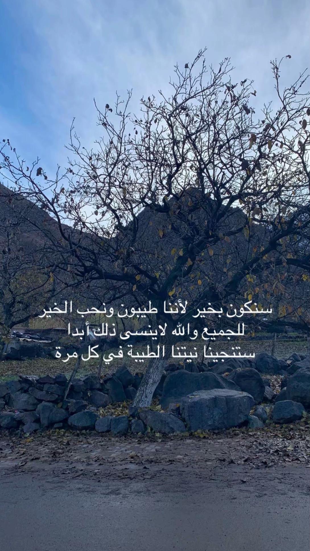 @Hakima Machi
