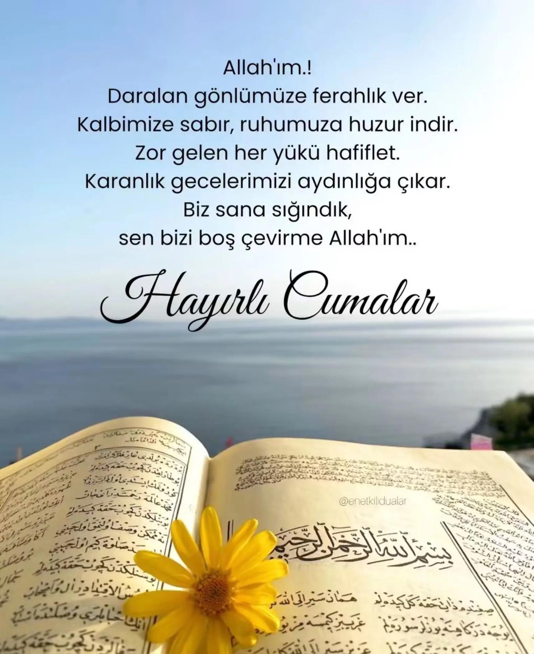 @Hanife Yakut