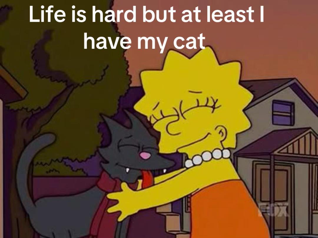 @Ted the ragdoll cat 🐾