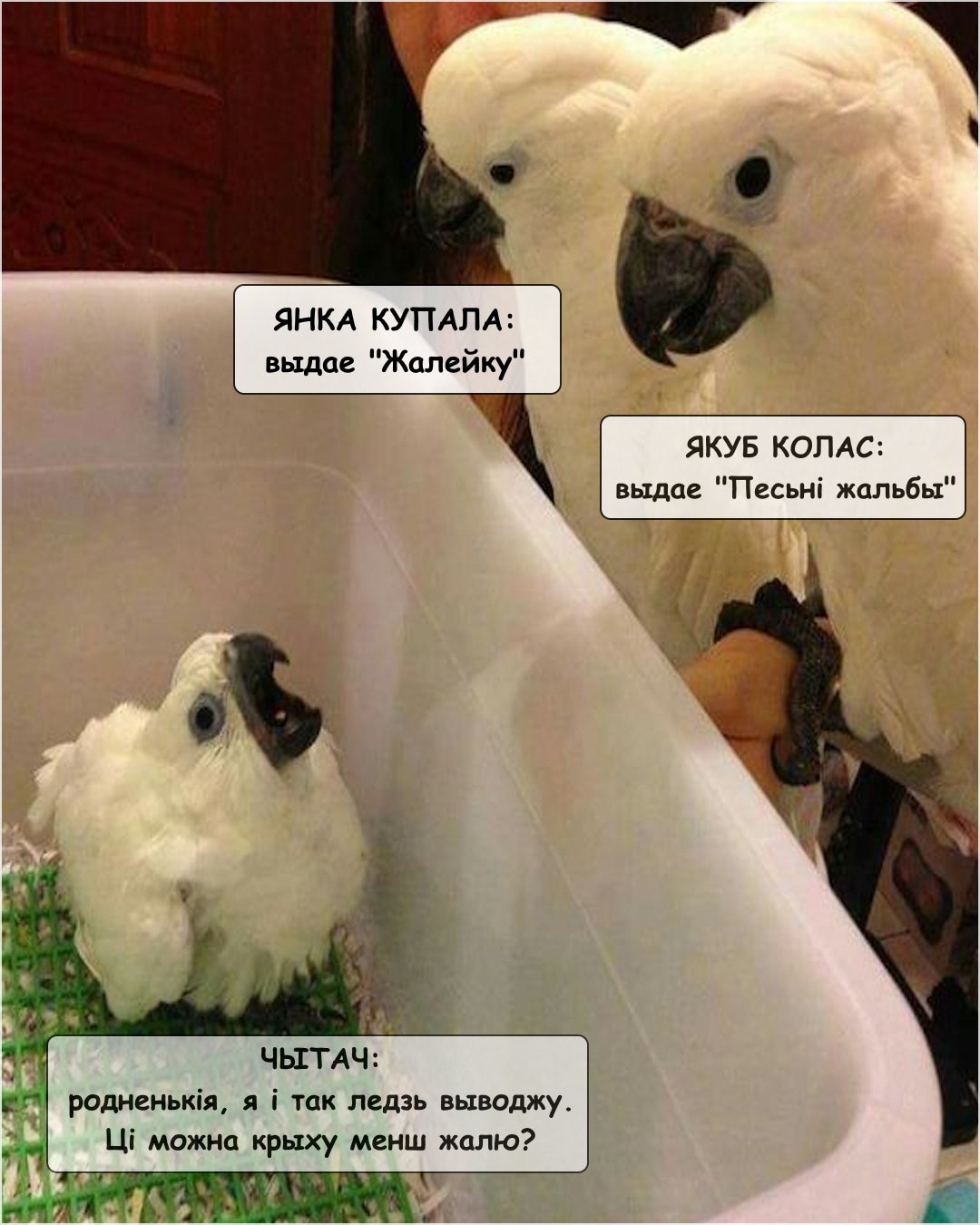 @Металічны Барсік