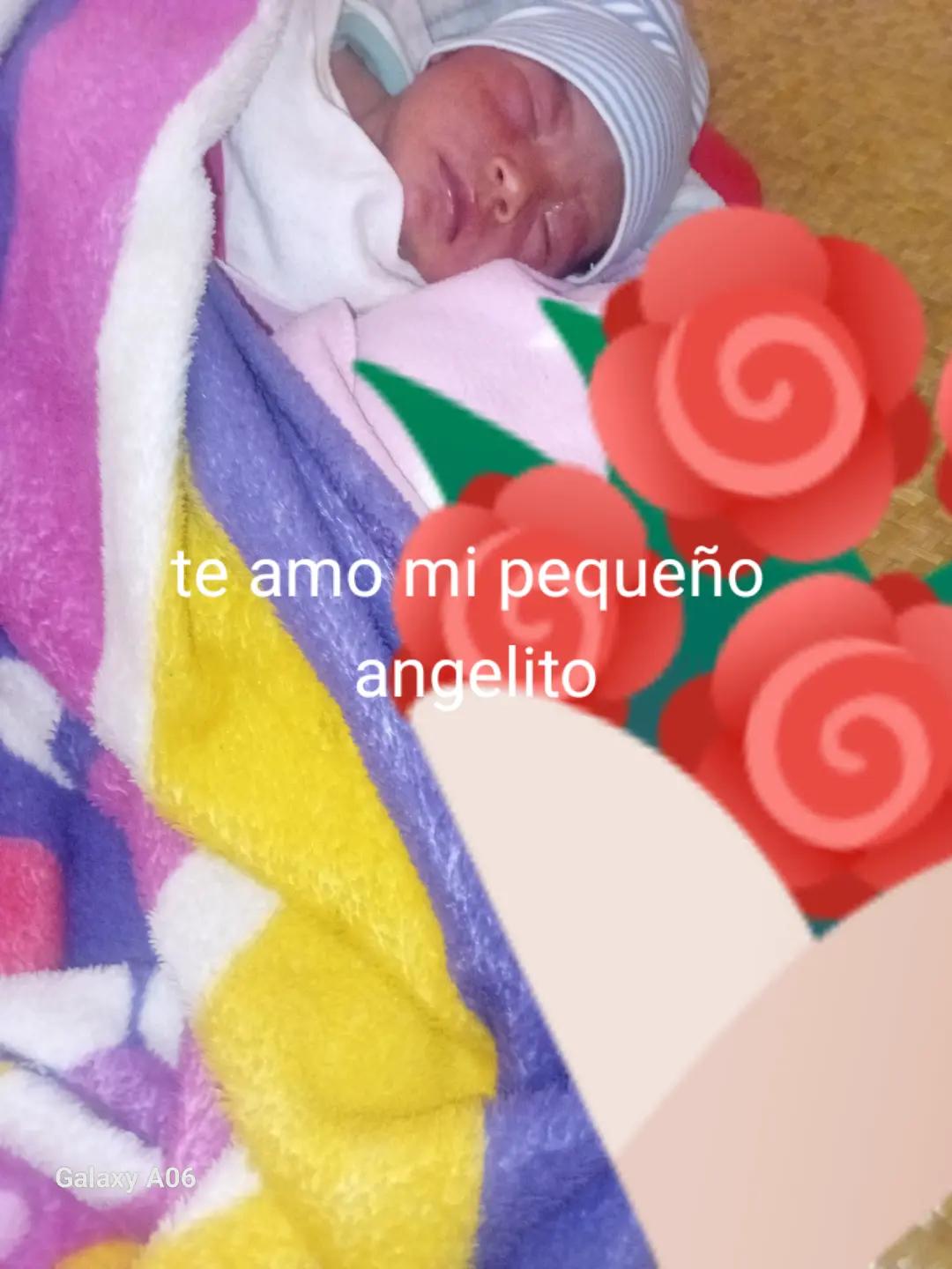 @mejia amador
