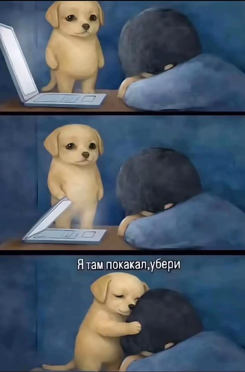 @Дина плаксiк