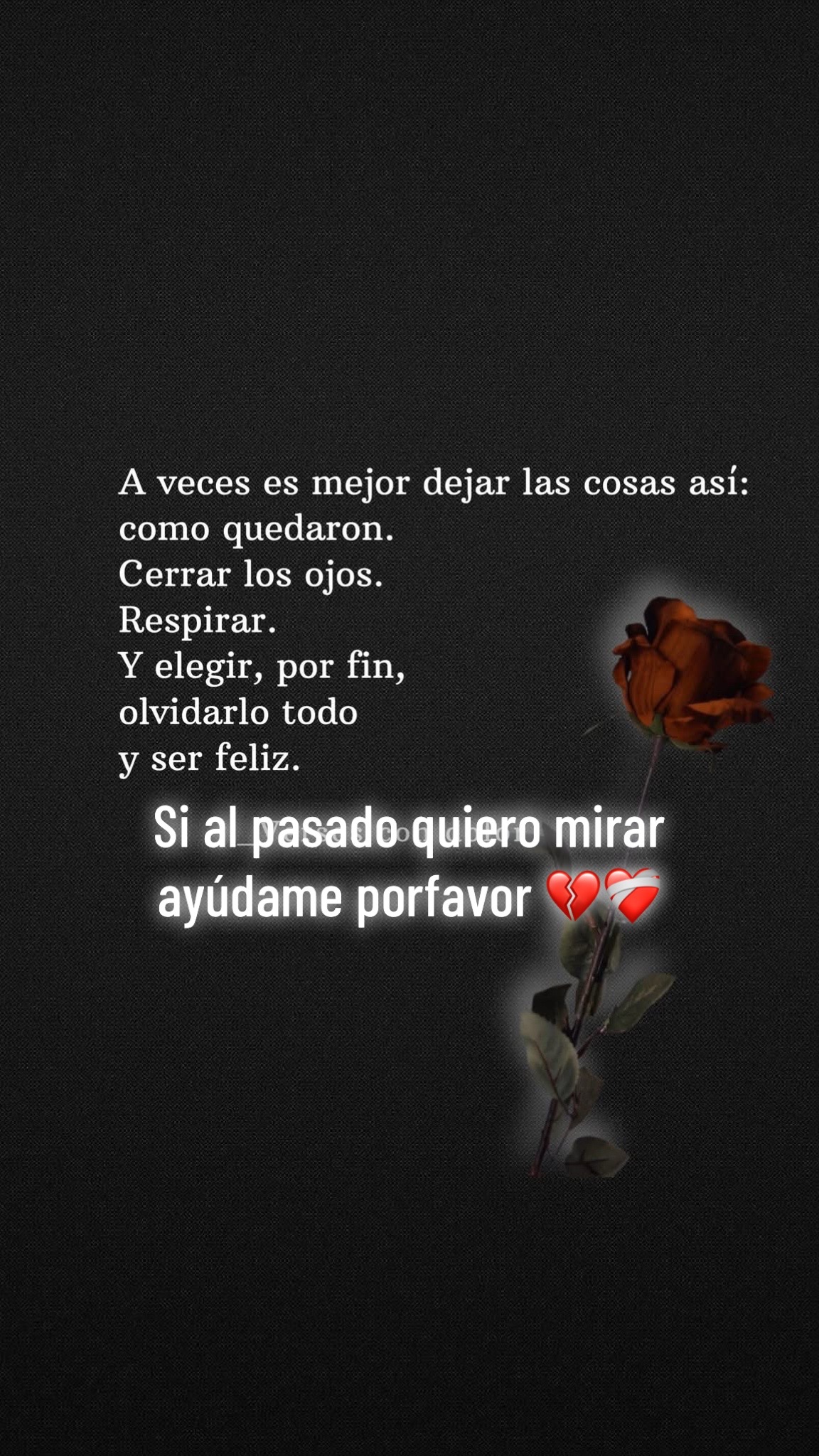 @🌷🕊️Elsy Vásquez🕊️🌷