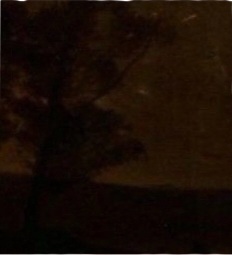 @★∞∆♪~—ʙ𝐥υꫀׁׅܻ݊_𝕜𝕚𝕨𝕚—~∆♪∞★