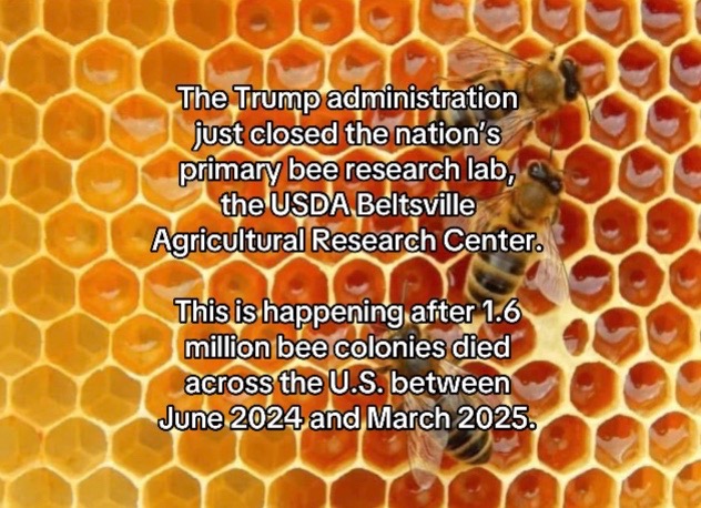 @environmentalist bro