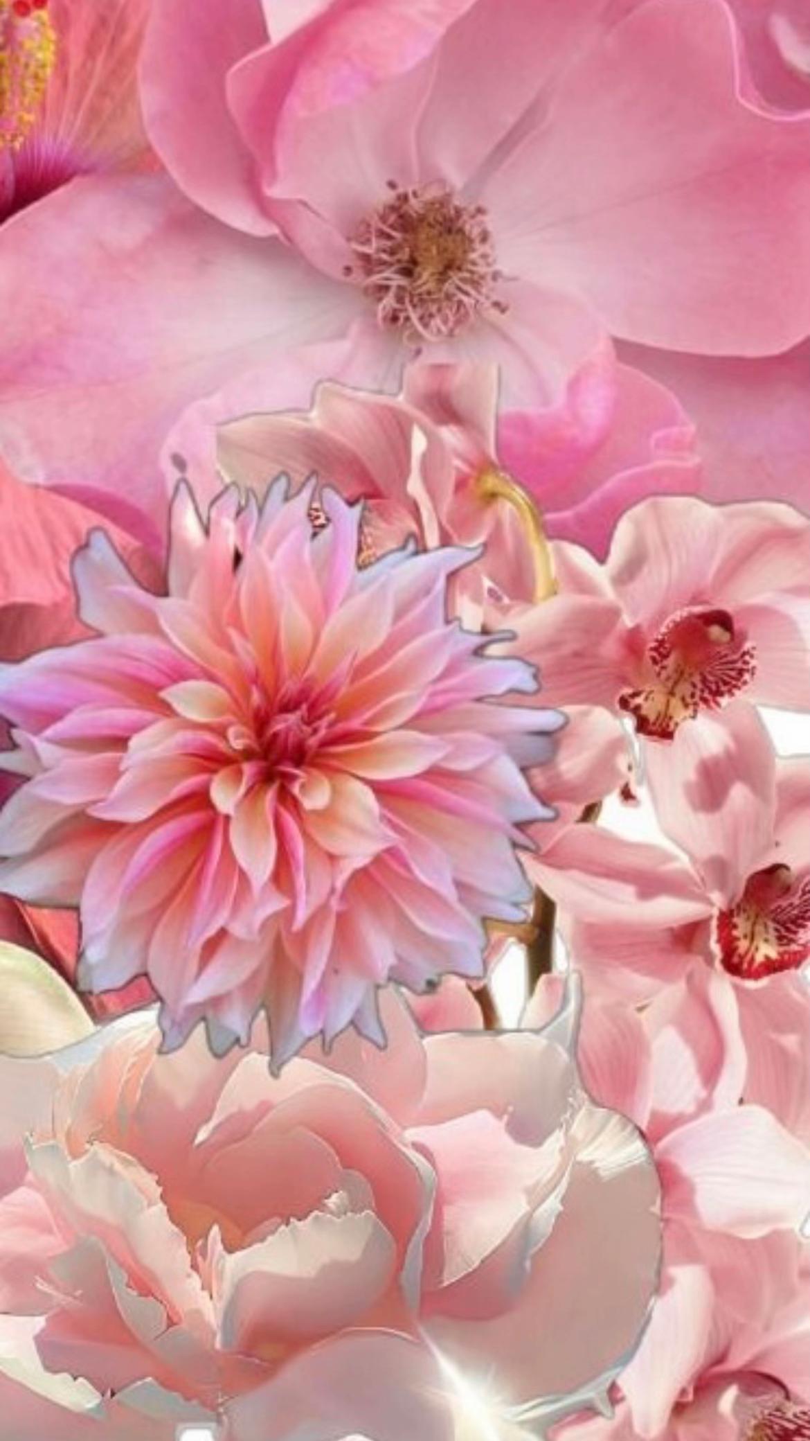 @prettyg1rlavenue0