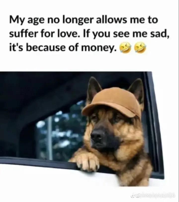 @Freshking 👑