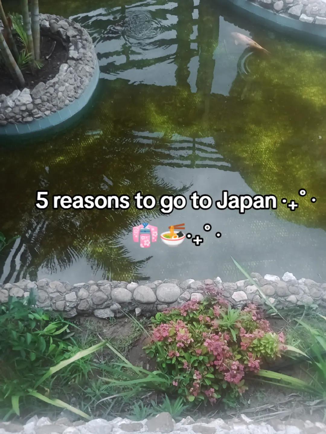 @⤷ ゛𝑽𝒊𝒄𝒌𝒊𝒊 ˎˊ˗⩜⃝