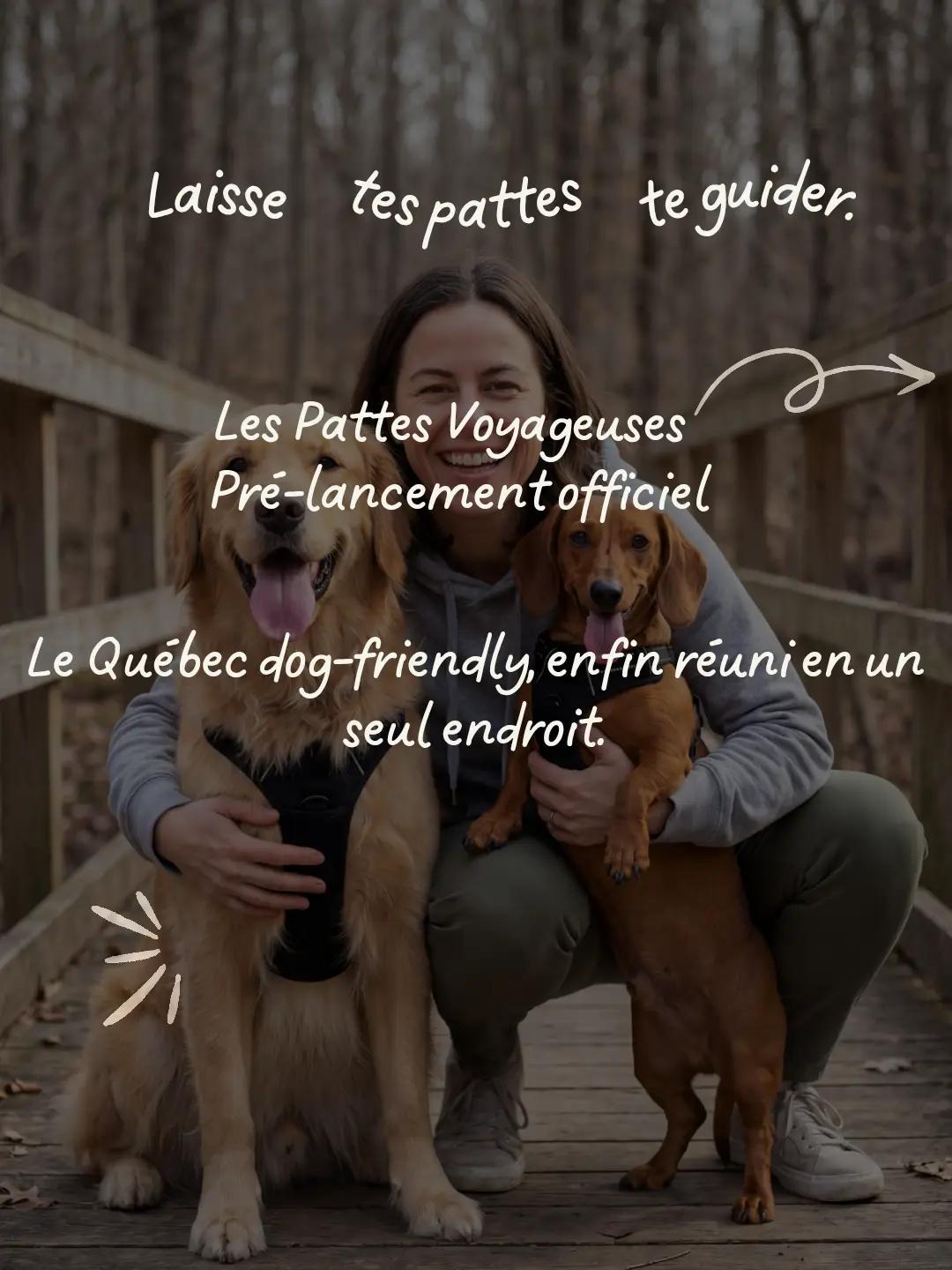 @Les Pattes Voyageuses