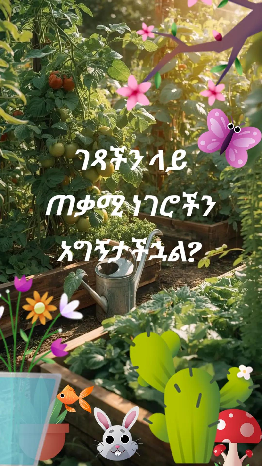 @የጓሮ ማሕበረሰብ-GARDENING COMMUNITY