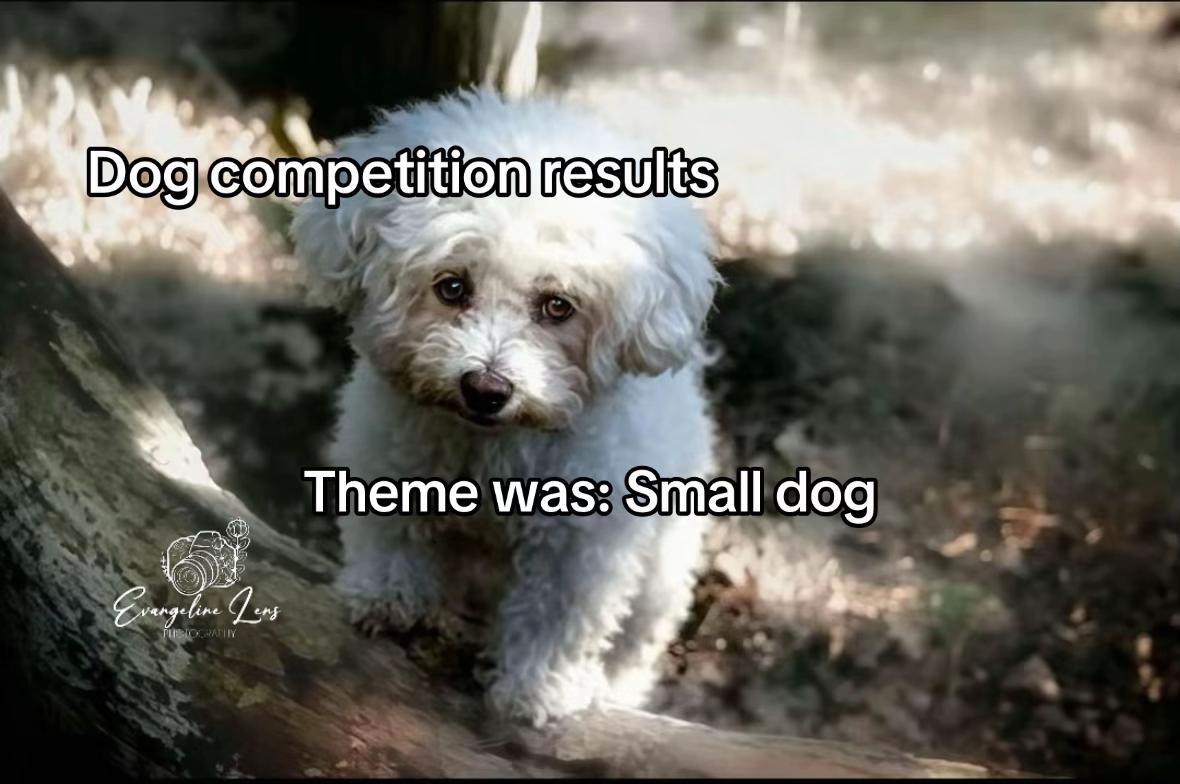 @❥𝒩𝒾𝓃𝒶ꨄ&rsquo;