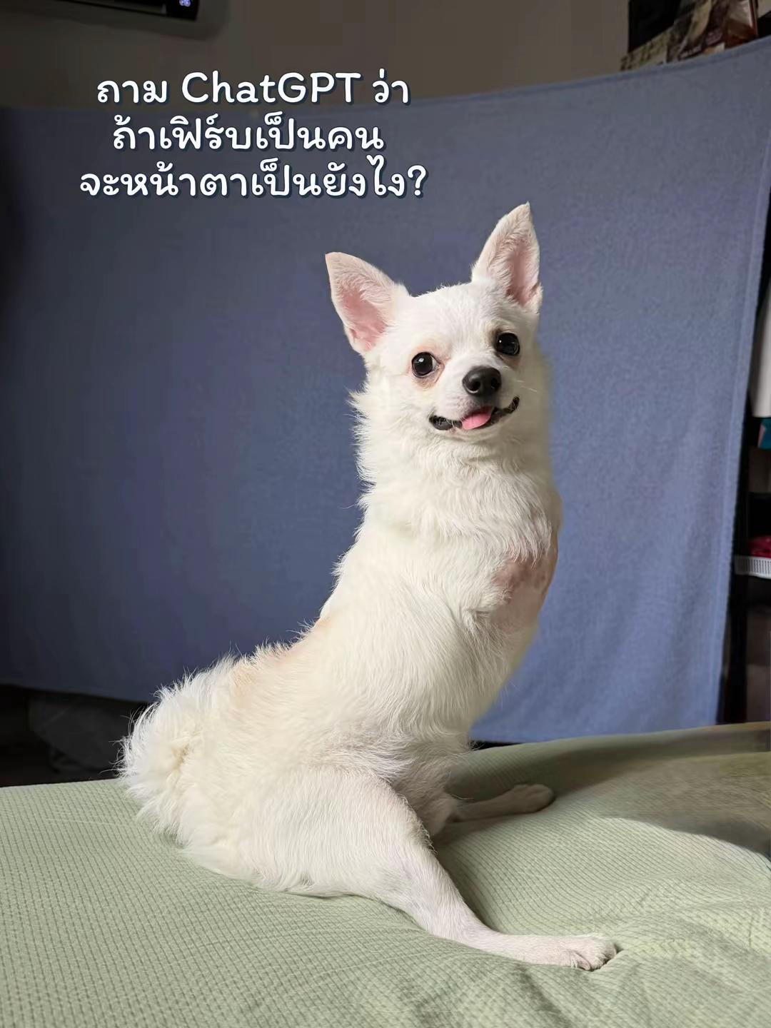 @ผมชื่อเฟิร์บ