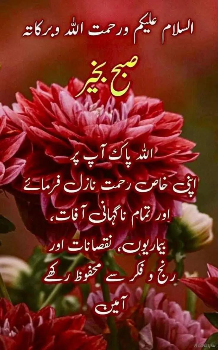 @Tahir kk
