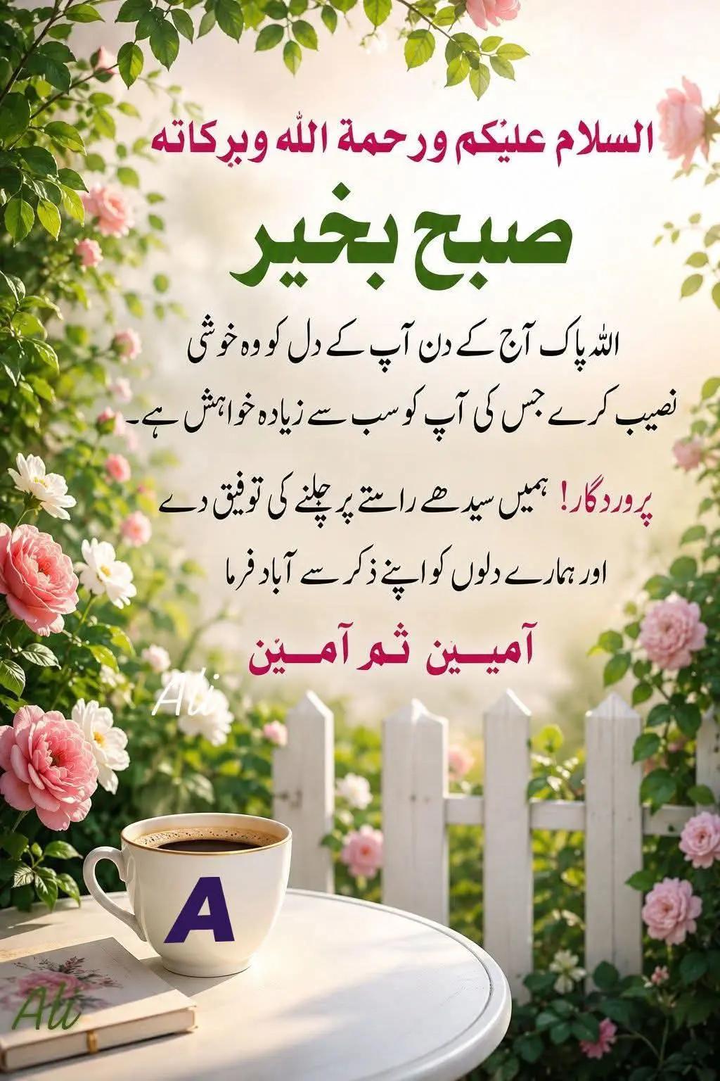 @Tahir kk