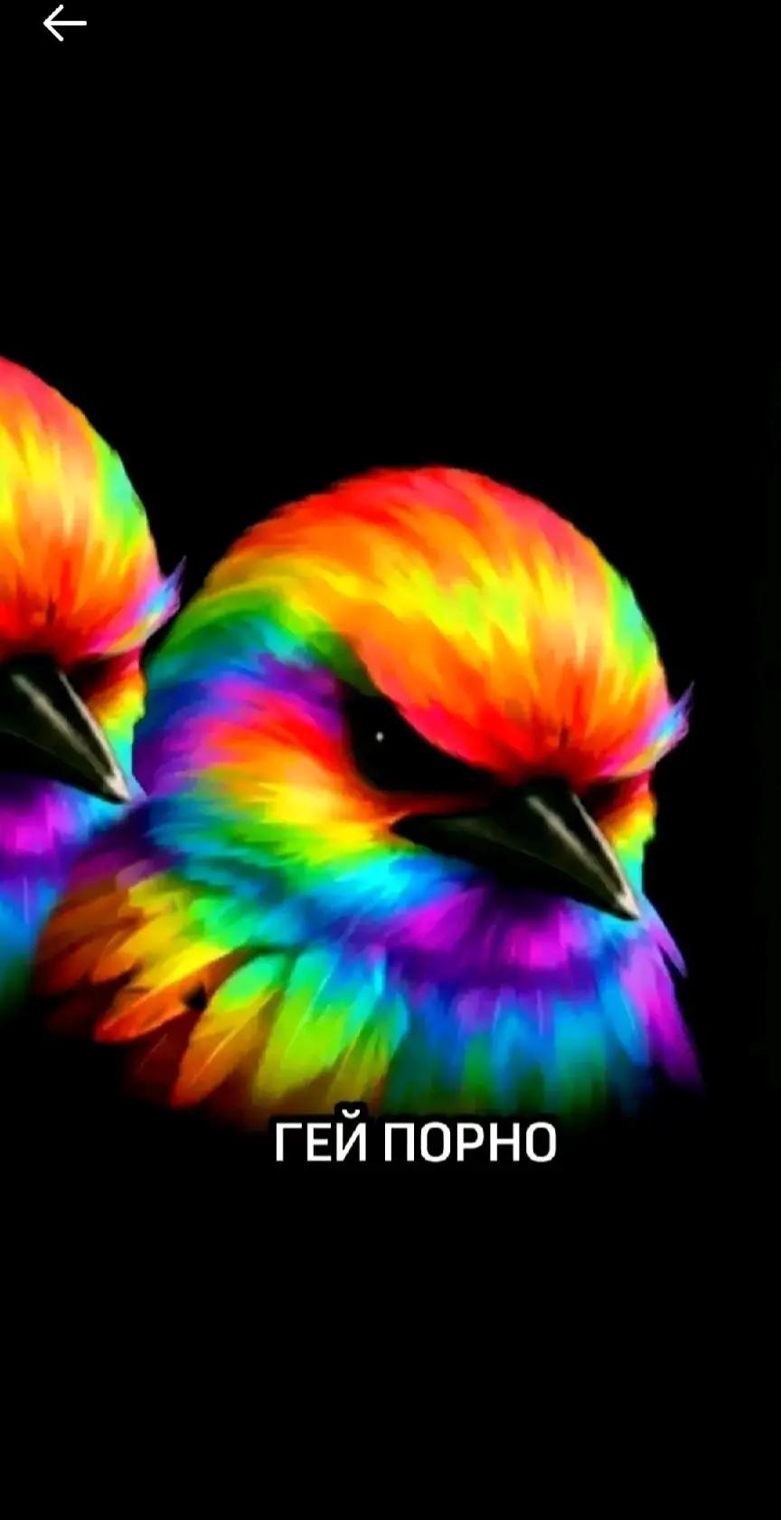 @Ковач