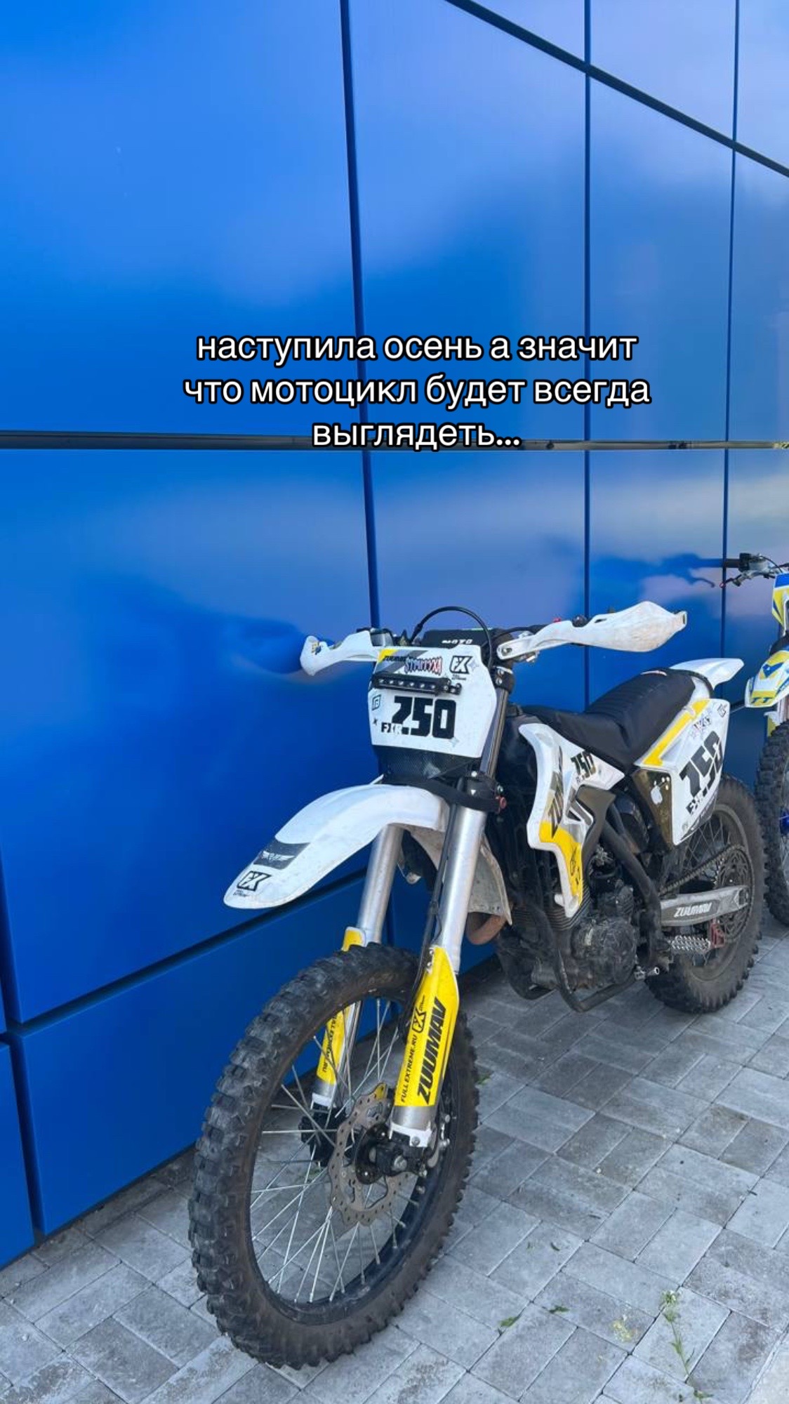 @gridin444