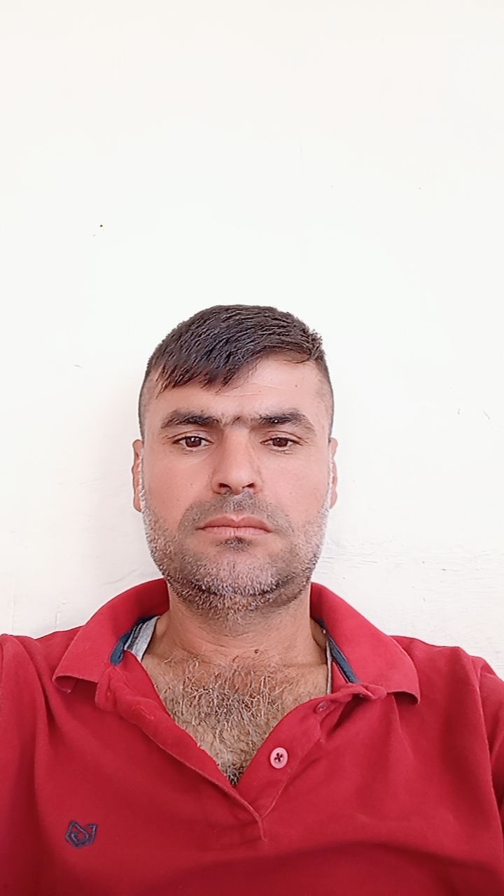 @yunusmercimek