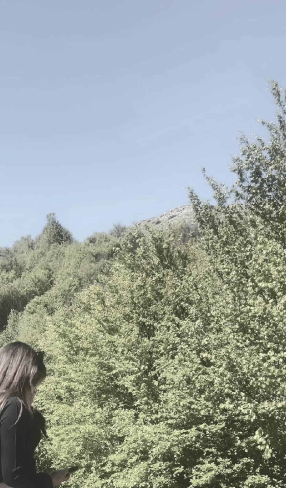 @🍃