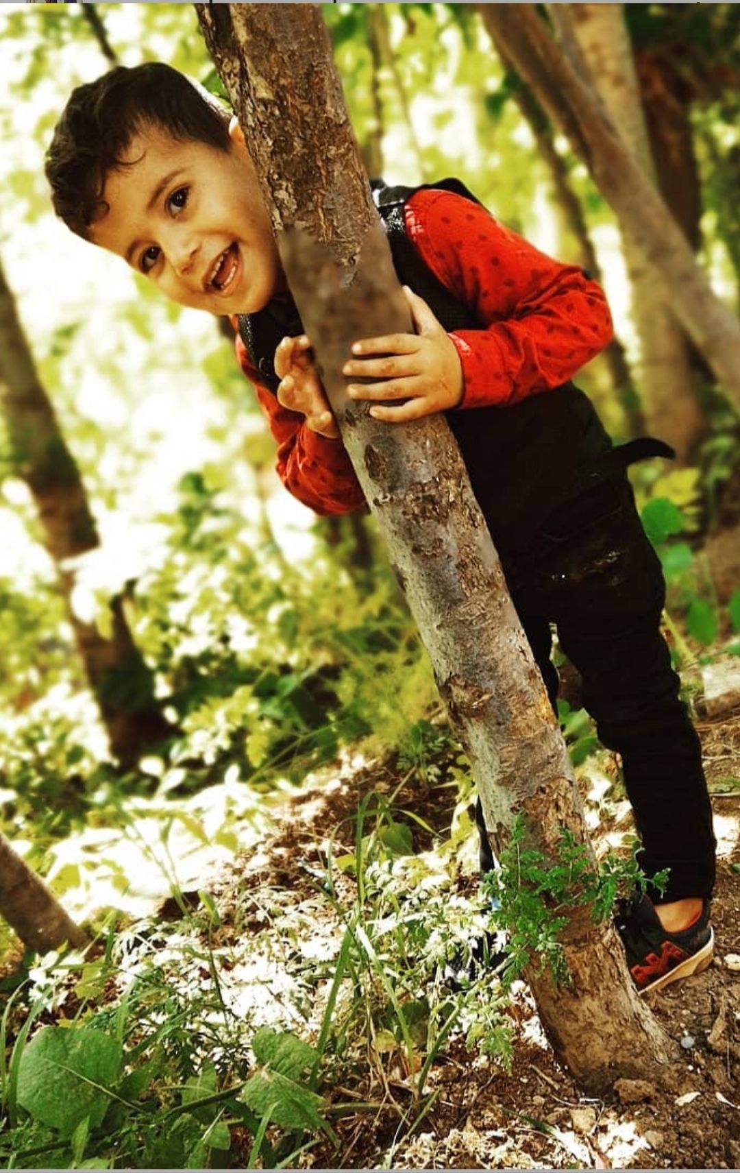@bayram30