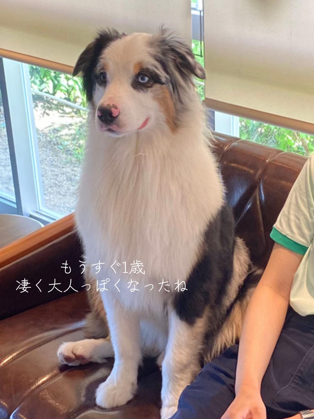 @サン&タマ