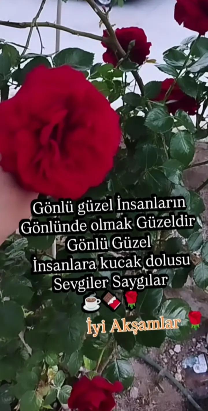 @Serpil G&uuml;neş