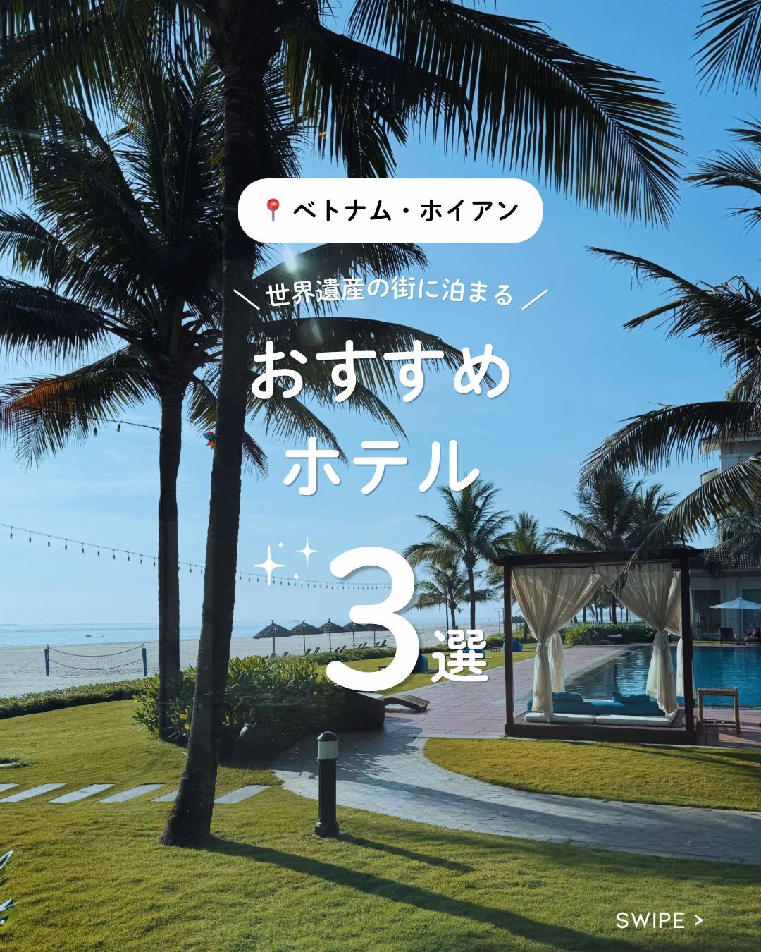 @肩幅ゴリラ🦍✈️