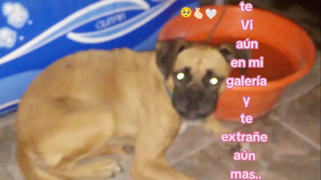 @☀️★~lola~★☀️