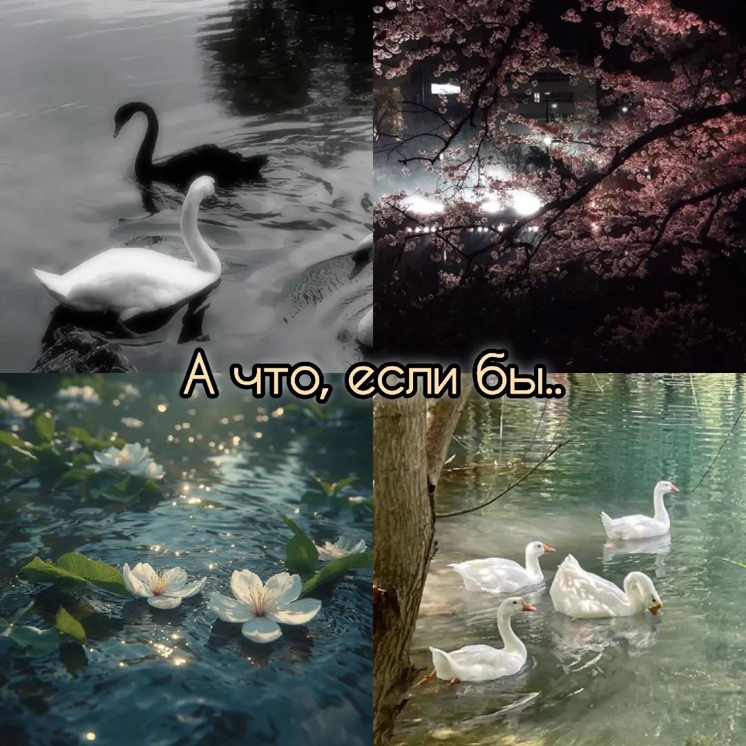 @𝓔𝓶𝓮𝓻𝓪𝓵𝓭_𝓣𝓮𝓪𝓻𝓼