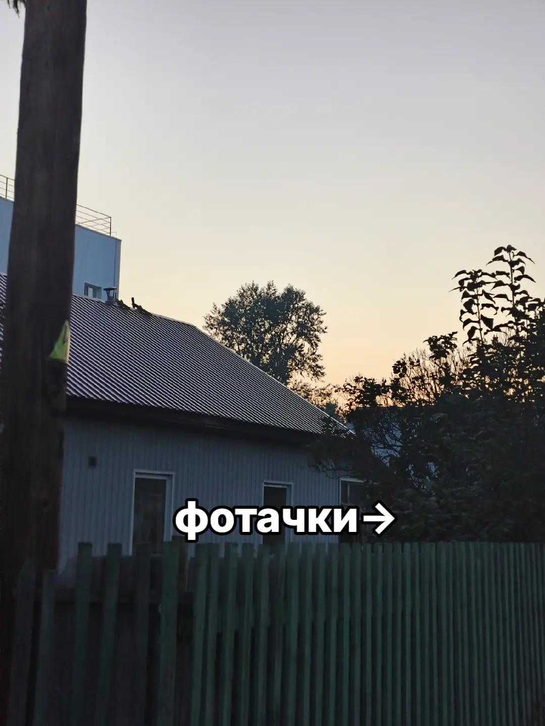 @nerktoo