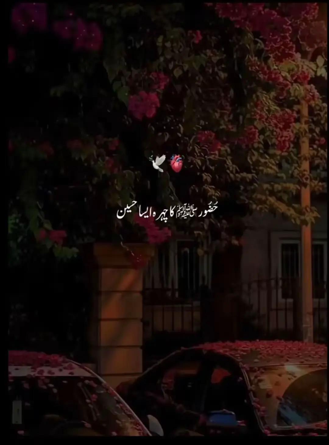 @𝘽𝙇𝘼𝘾𝙆 𝙇𝙄𝙁𝙀_𝟖𝟎𝟒🇧🇫