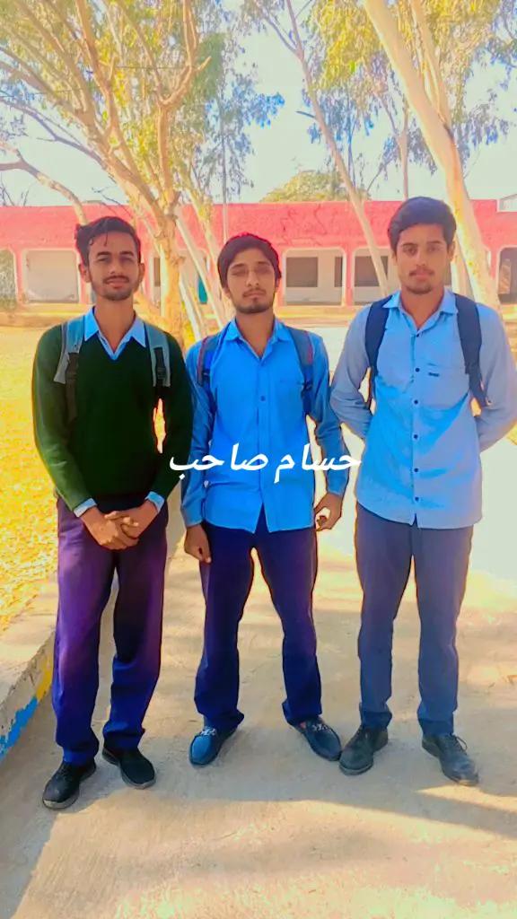 @qalab Abbas 736