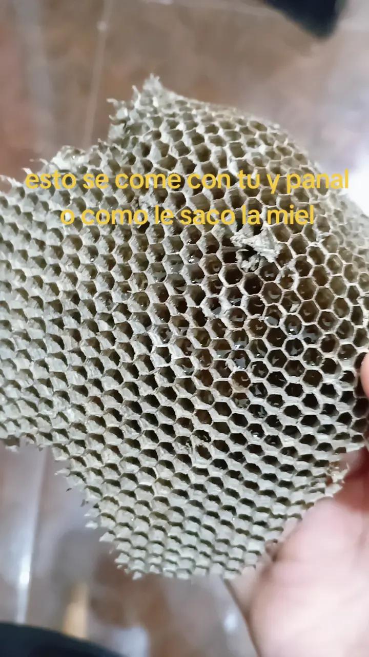 @N