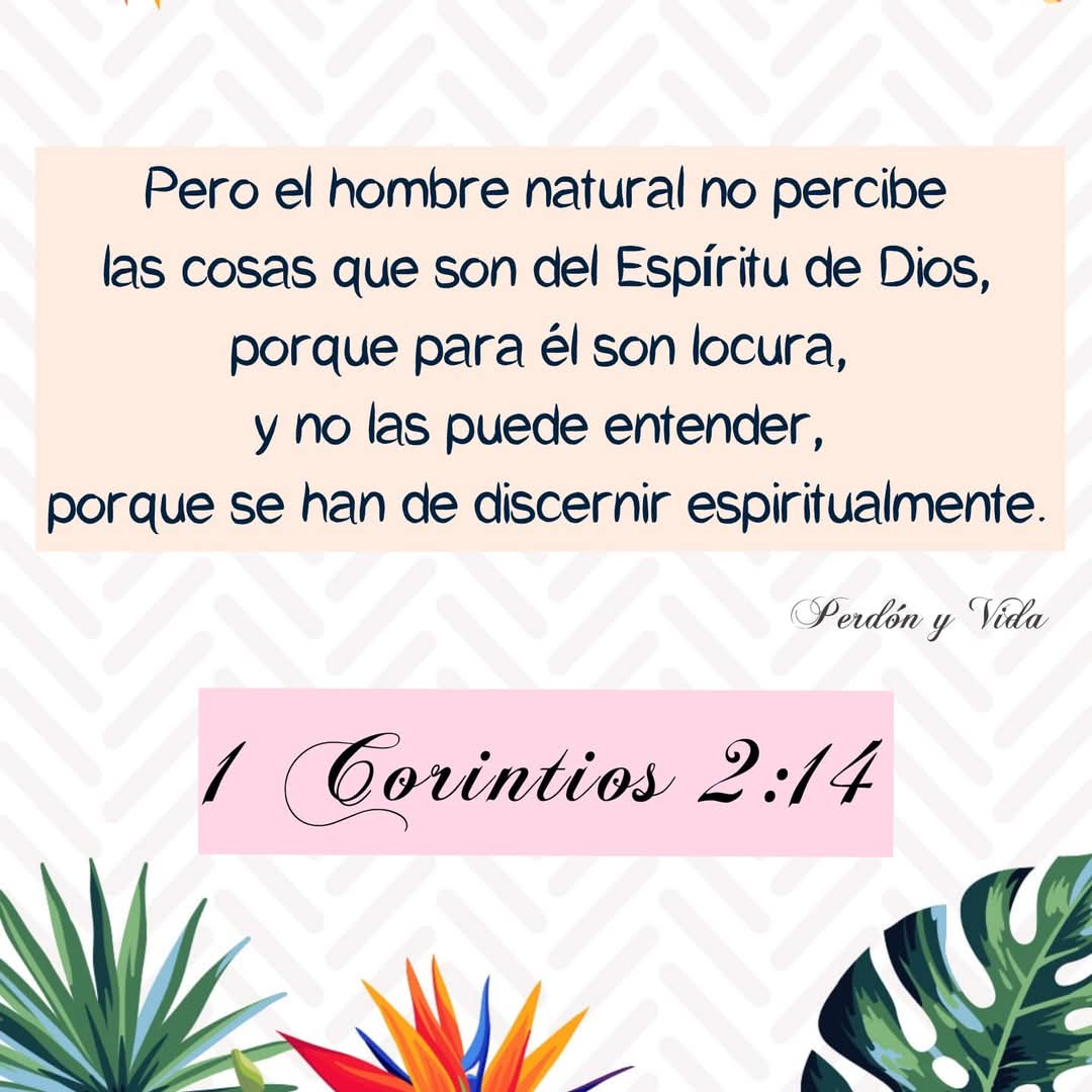 @Perd&oacute;n y Vida