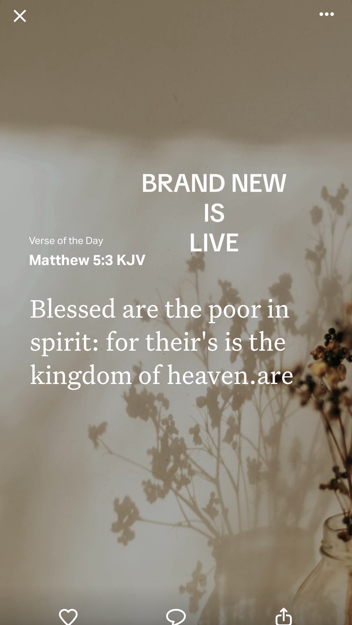 @brandnewme