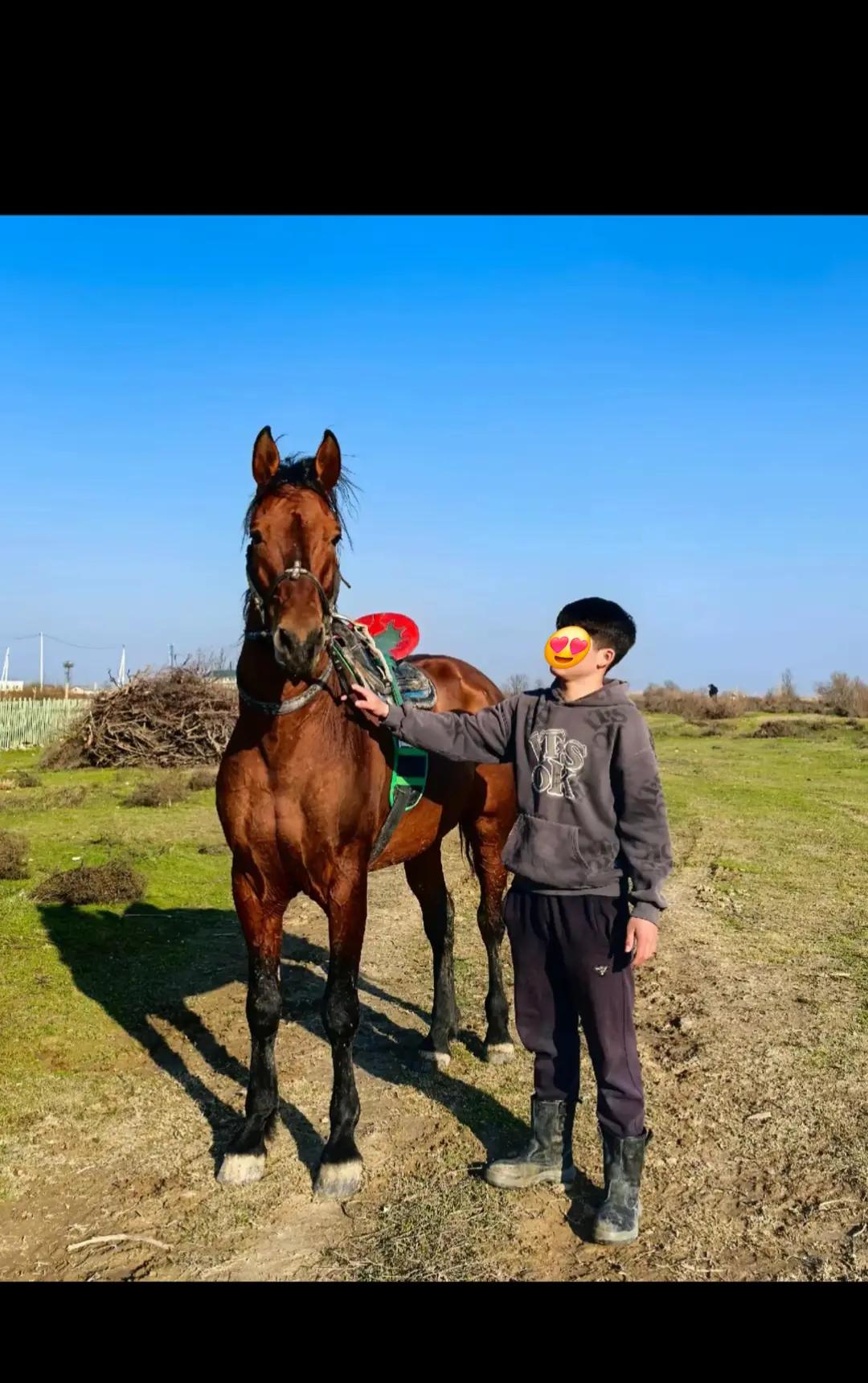 @Elmurod_Tuimatov 🇰🇿🇰🇷