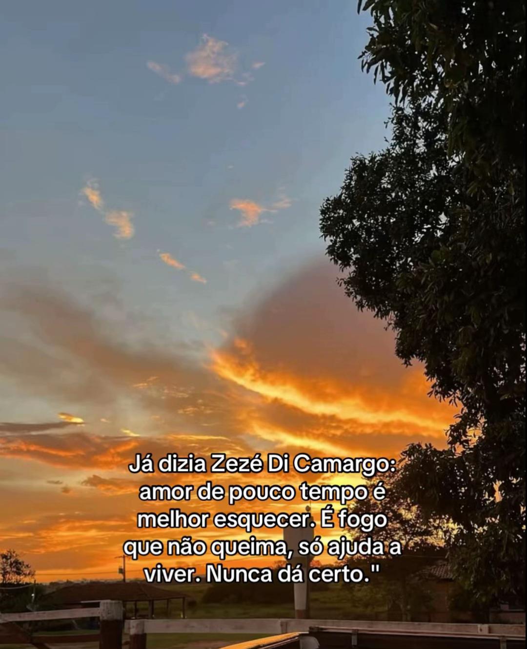 @Tania 1303
