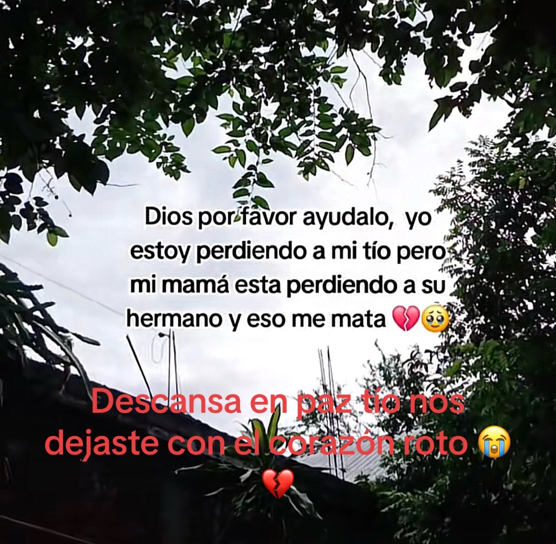 @Karola Magana